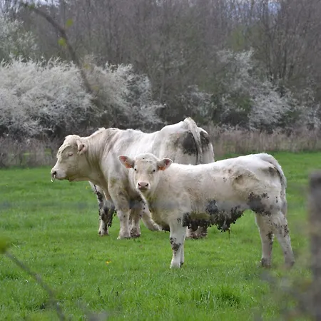 Domaine La Reveille 4*