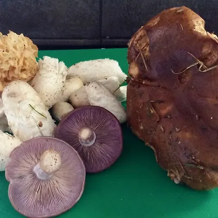 Panzió Domaine La Reveille Dore-lʼÉglise