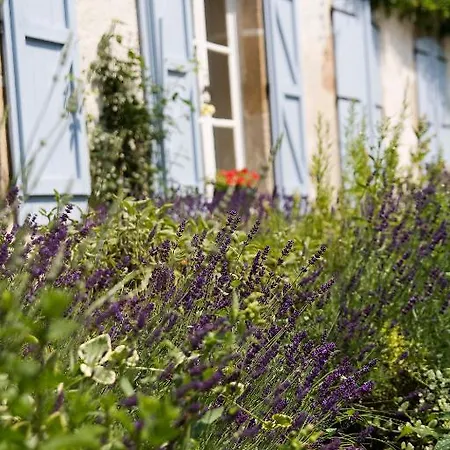 Domaine La Reveille Panzió Dore-lʼÉglise