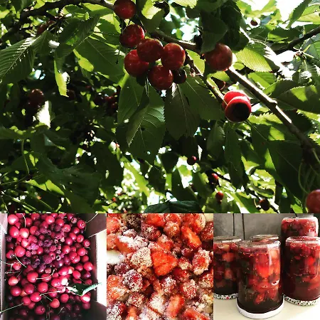 Domaine La Reveille Panzió 4*